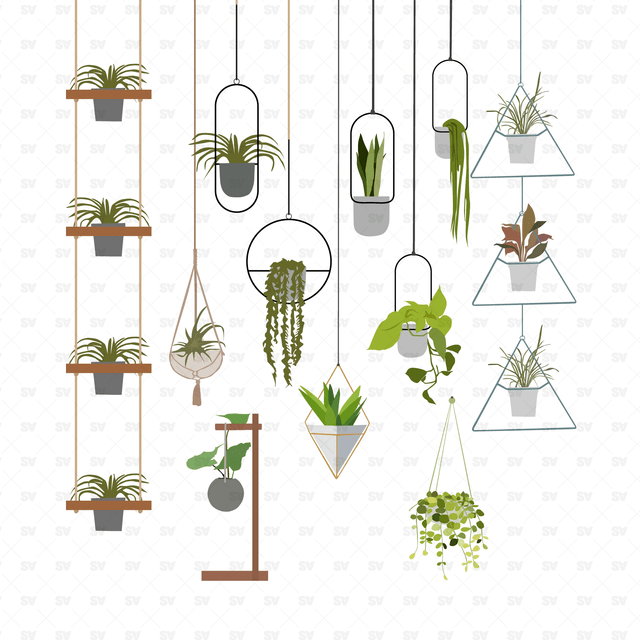 vector plants 