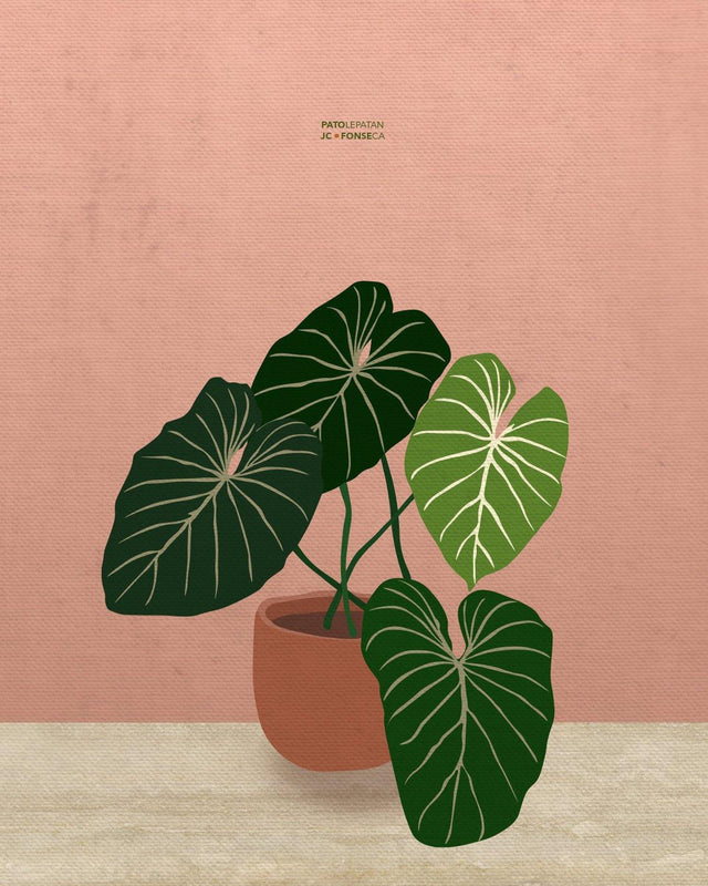 plants illustration free download png