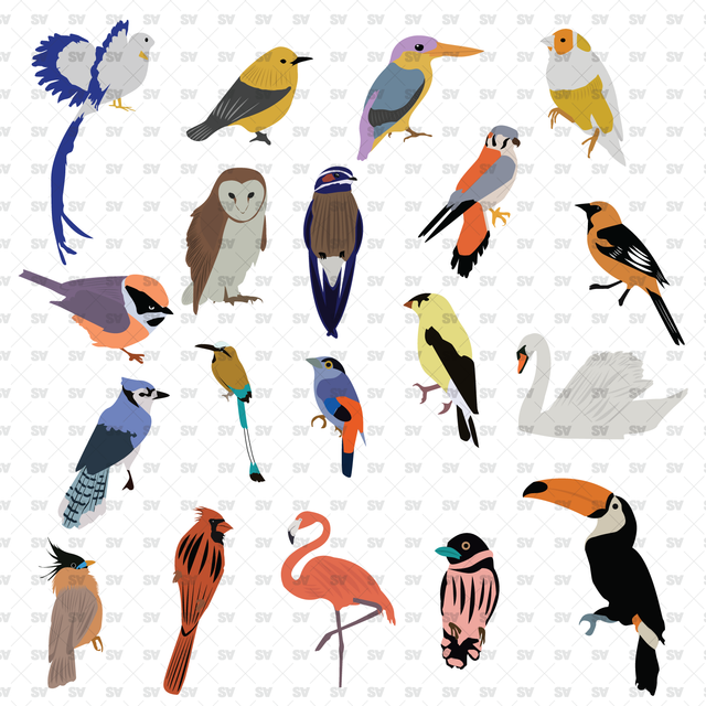 Vector Birds Pack (19 Figures)