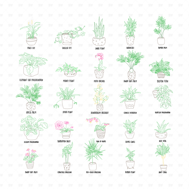 25 CAD and Line Art Vector Interior Purifying Plants