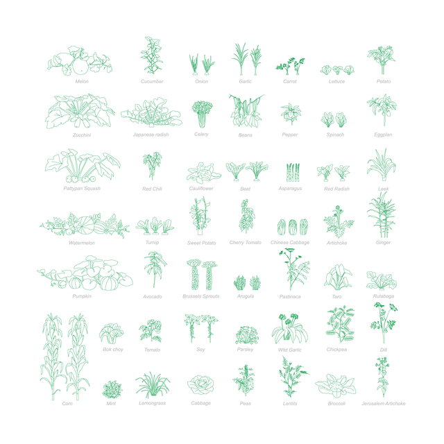 CAD & Vector Vegetable Plants Mega-Pack