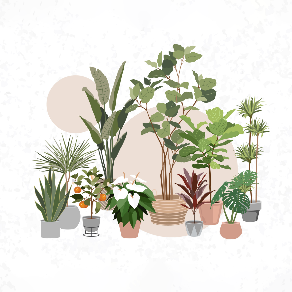 Flat Vector Plants: 10 Illustrated Figures – Studio Alternativi