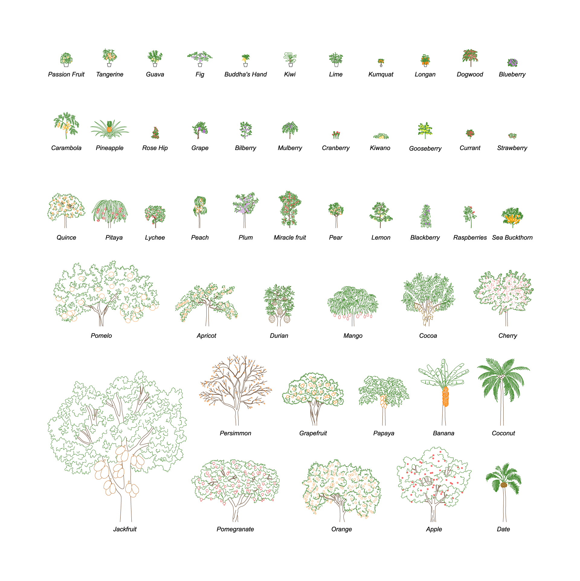 File Revit Fruit CAD & Vector Fruit Plants Mega-Pack – Studio Alternativi