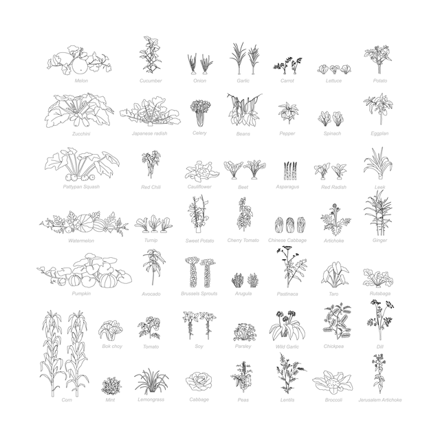 CAD & Vector Vegetable Plants Mega-Pack