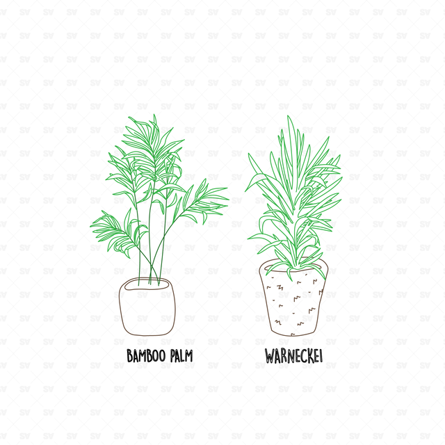 25 CAD and Line Art Vector Interior Purifying Plants