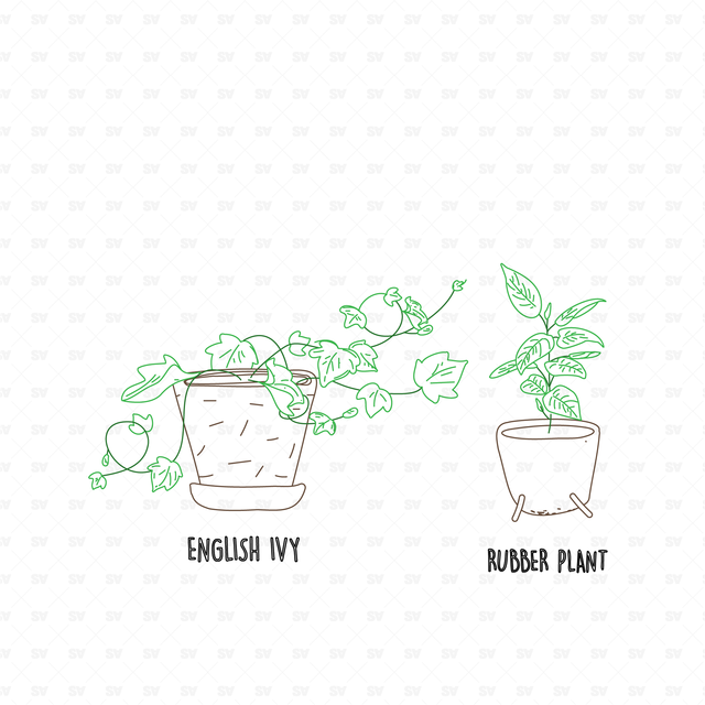 25 CAD and Line Art Vector Interior Purifying Plants