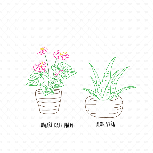 25 CAD and Line Art Vector Interior Purifying Plants