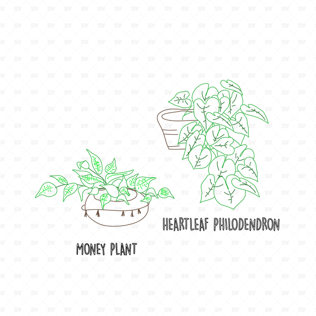 25 CAD and Line Art Vector Interior Purifying Plants