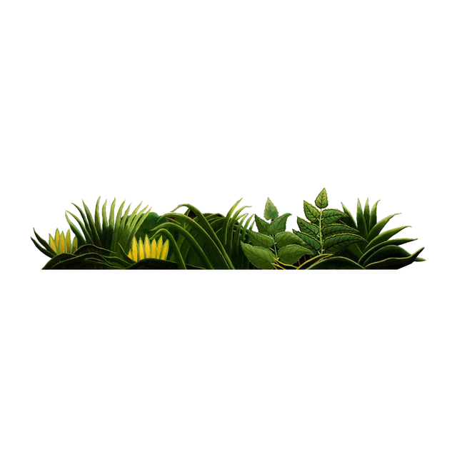 Vegetation Cutouts (45 PNGs)-Cutouts-Studio Alternativi