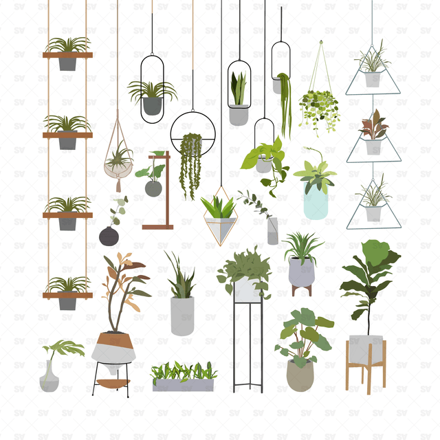 vector plants interior