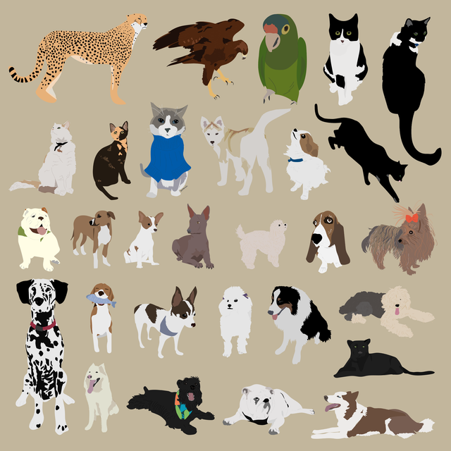 animals vector illustration flat 