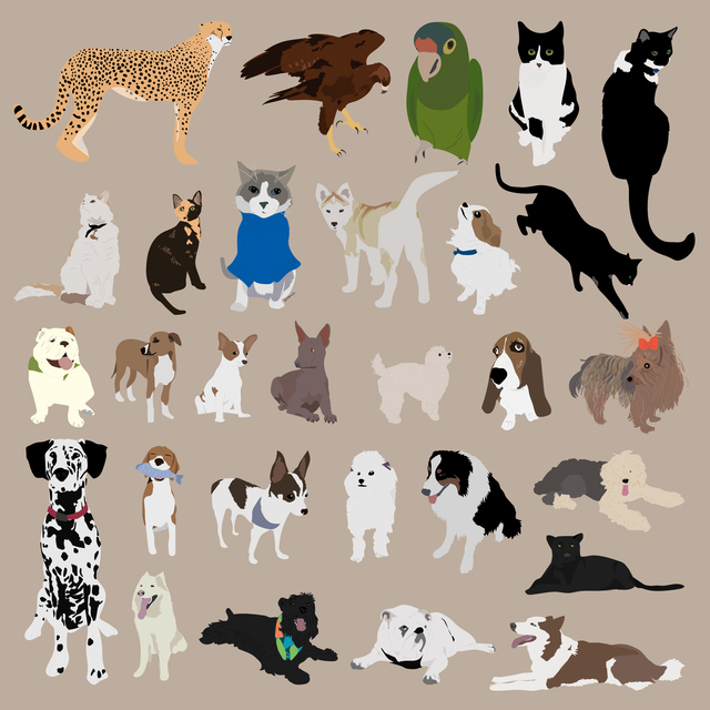 animals vector illustration flat 