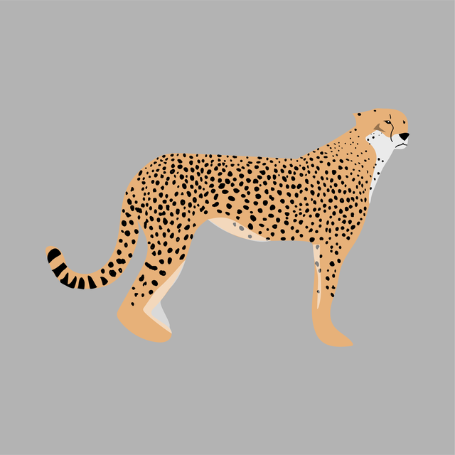 animals vector illustration flat tiger