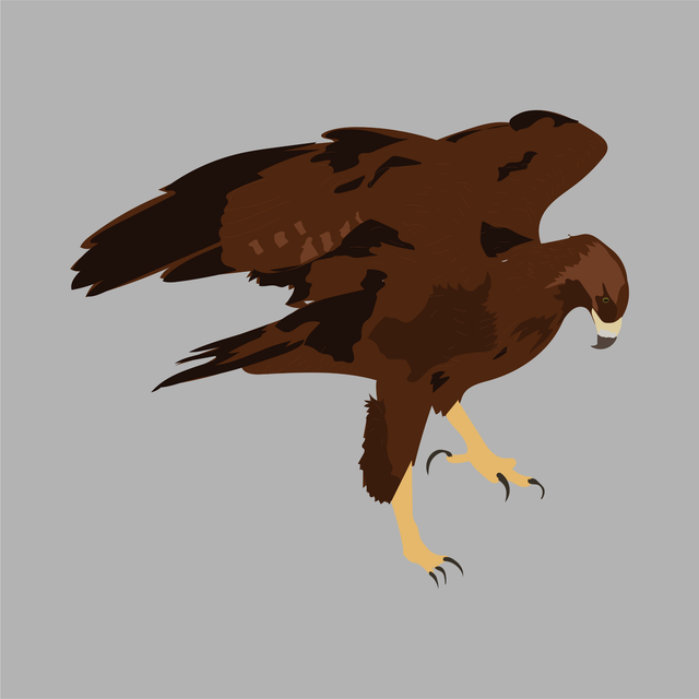 animals vector illustration flat eagle