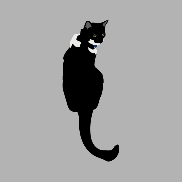 animals vector illustration flat cat black