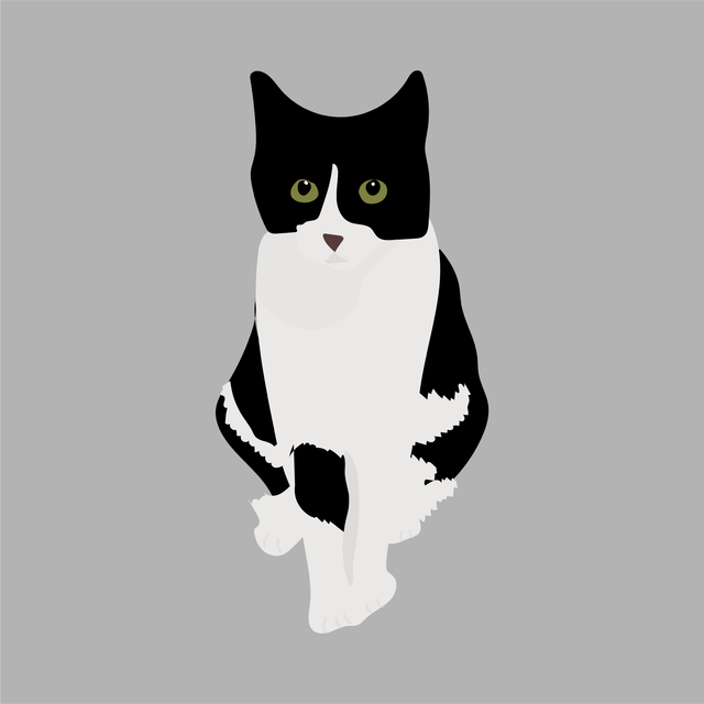 animals vector illustration flat cat