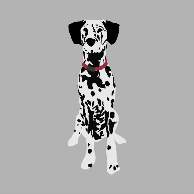 animals vector illustration flat dog dalmatian