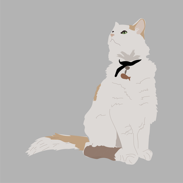 animals vector illustration flat cat