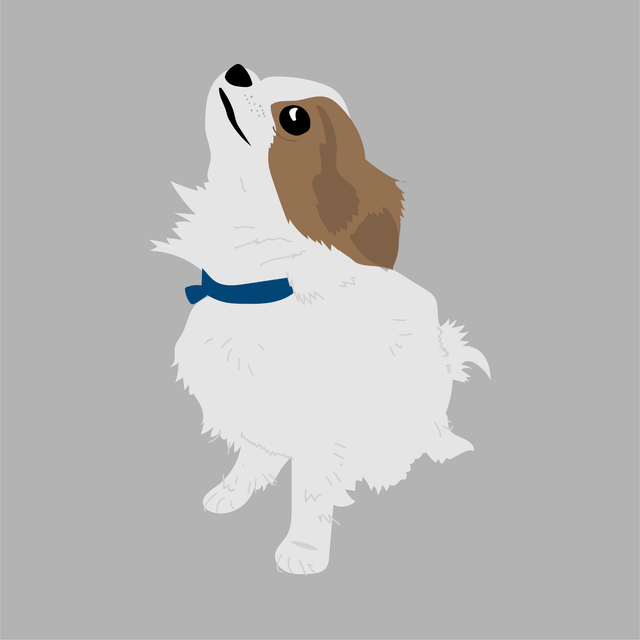 animals vector illustration flat dog