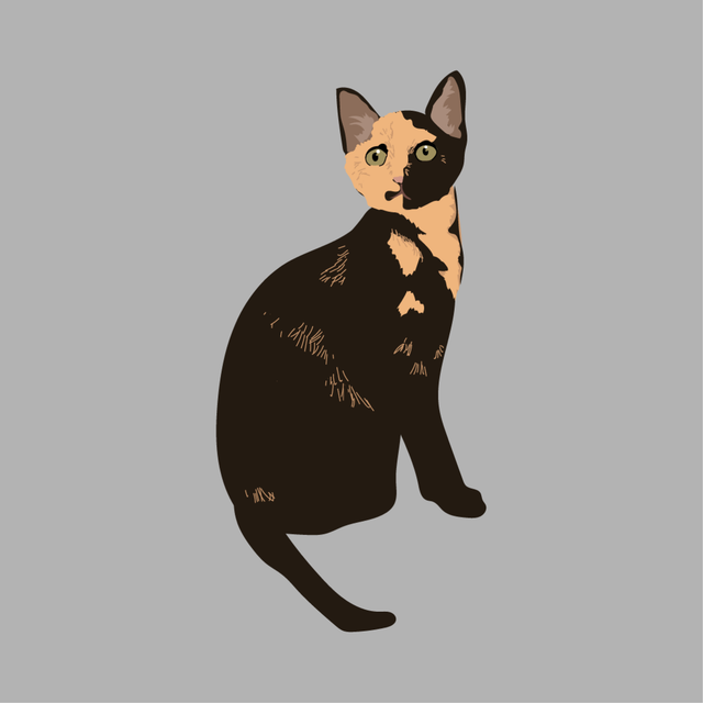 animals vector illustration flat cat