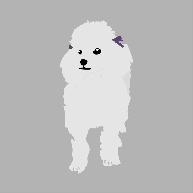 animals vector illustration flat dog fluffy