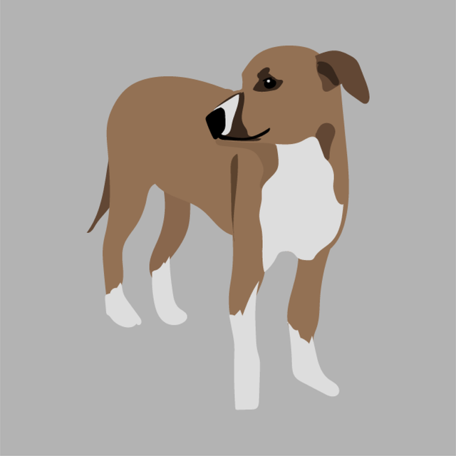 animals vector illustration flat dog