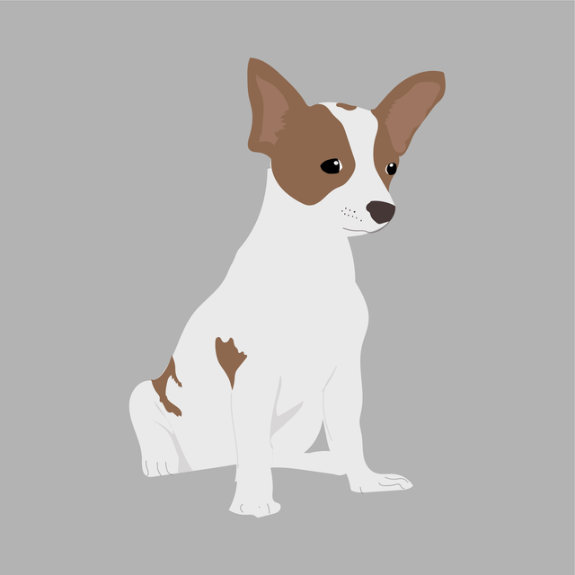 animals vector illustration flat dog