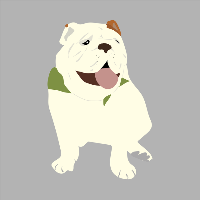 animals vector illustration flat dog