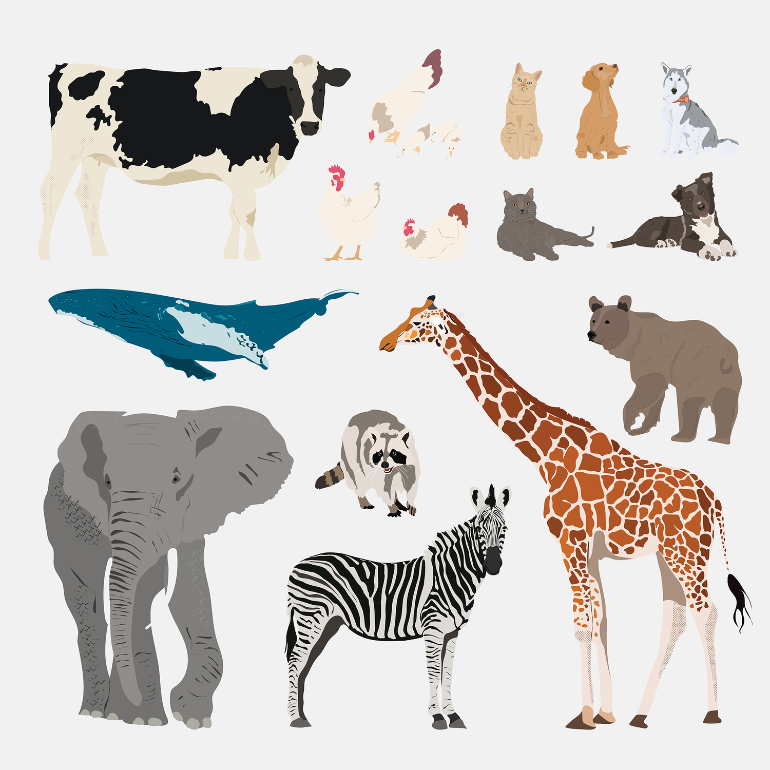 Vector Based Animal Vector Animals Pack 01 - 18 Illustrated Animals – Studio Alternativi