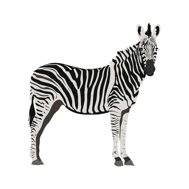 vector zebra download 