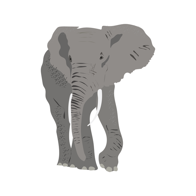 vector elephant download 