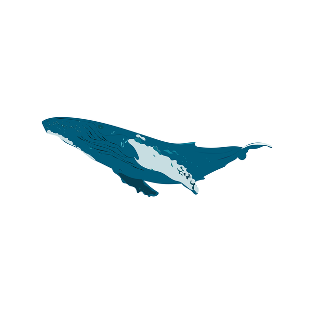 vector whale download 