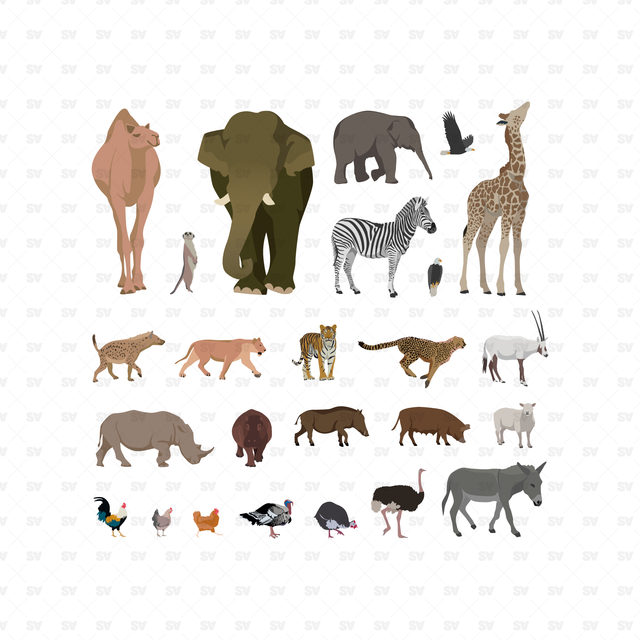 vector wild animals