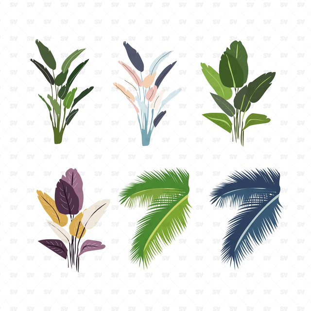 indoor plants vector