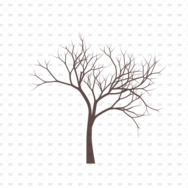 Flat Vector Bare Trees (+PNGs)