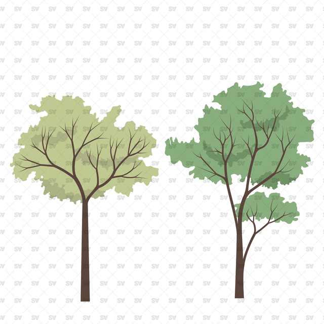 Flat Vector Trees (+PNGs)