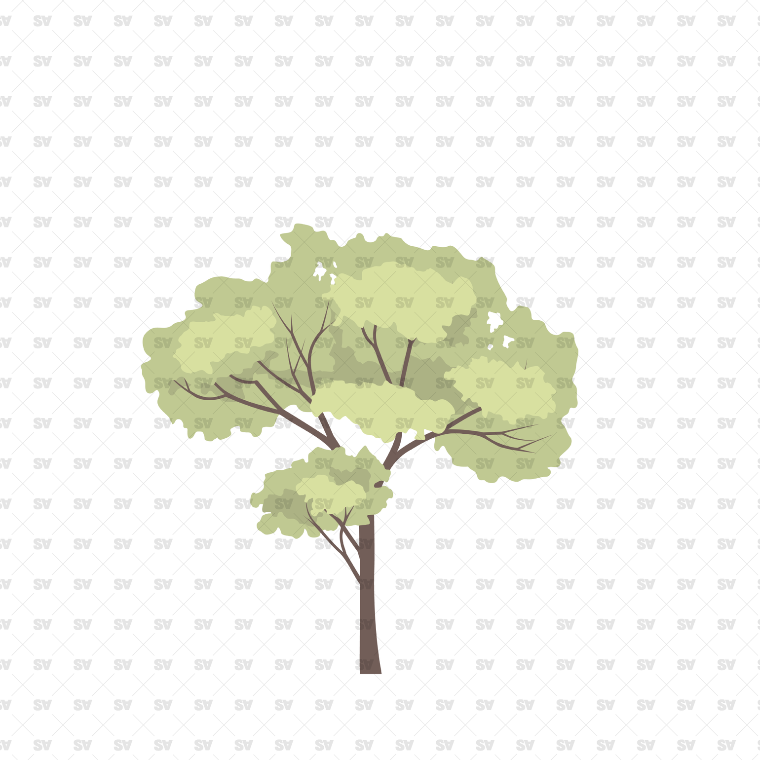 Flat Vector Trees & PNGs for Architectural Design – Studio Alternativi
