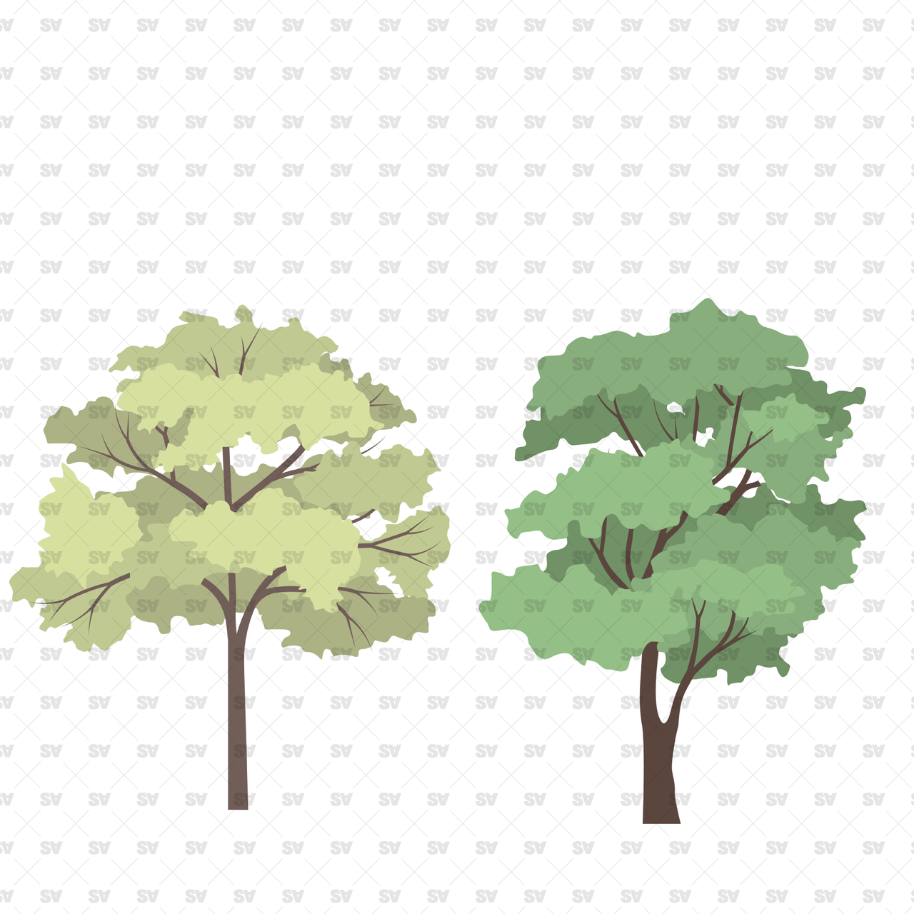 Flat Vector Trees & PNGs for Architectural Design – Studio Alternativi