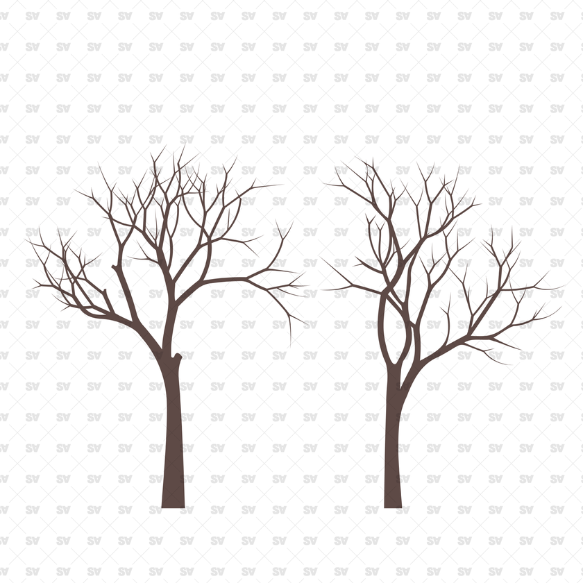 Flat Vector Bare Trees (+PNGs) - 15 Pack – Studio Alternativi