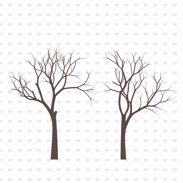 Flat Vector Bare Trees (+PNGs)
