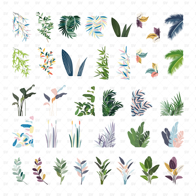 indoor plants vector