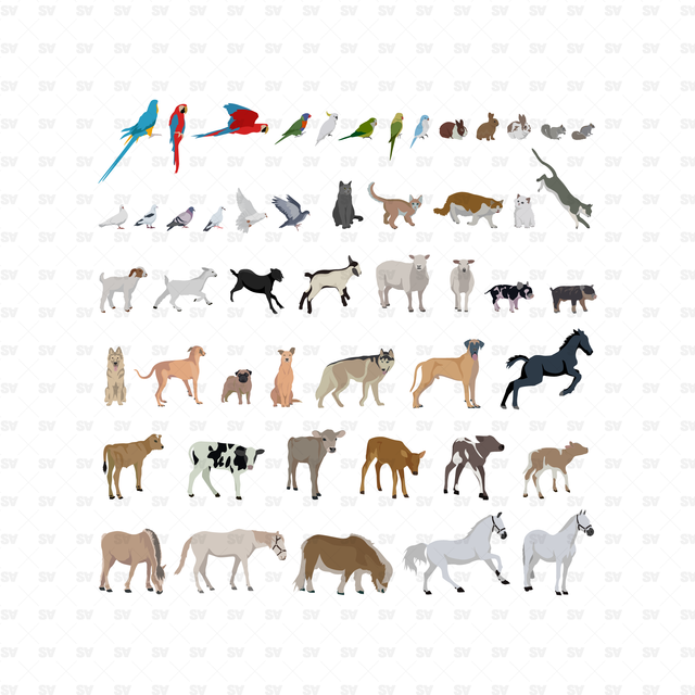 vector animals 