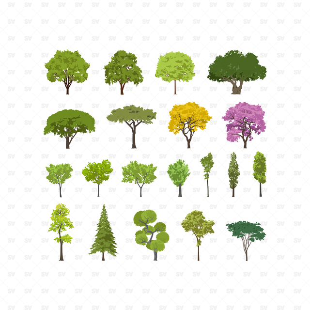 vector trees architecture