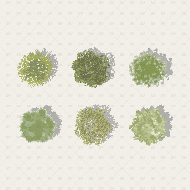 Tree Top View Vector Png