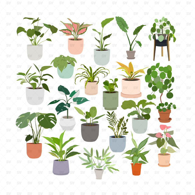 flat vector plants