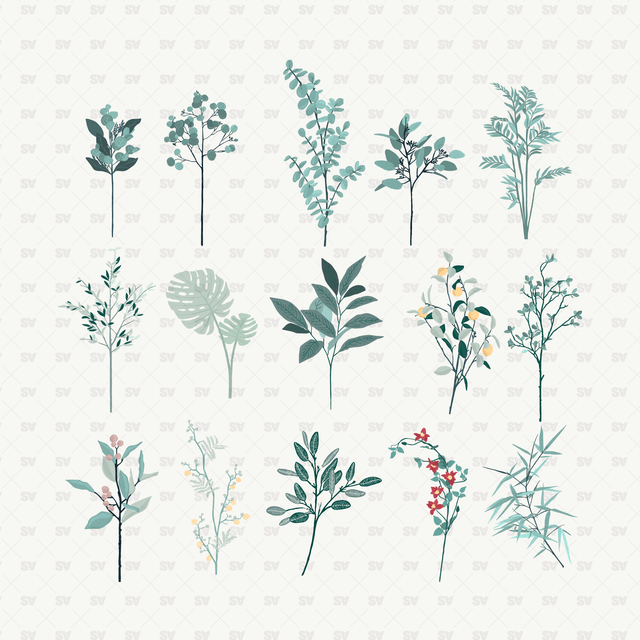 Vector Flowers and Leaves plants