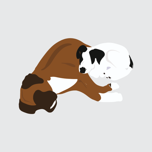 flat vector dogs illustration