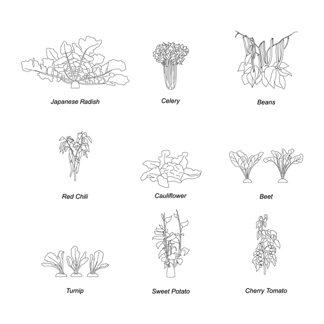 CAD & Vector Vegetable Plants Mega-Pack