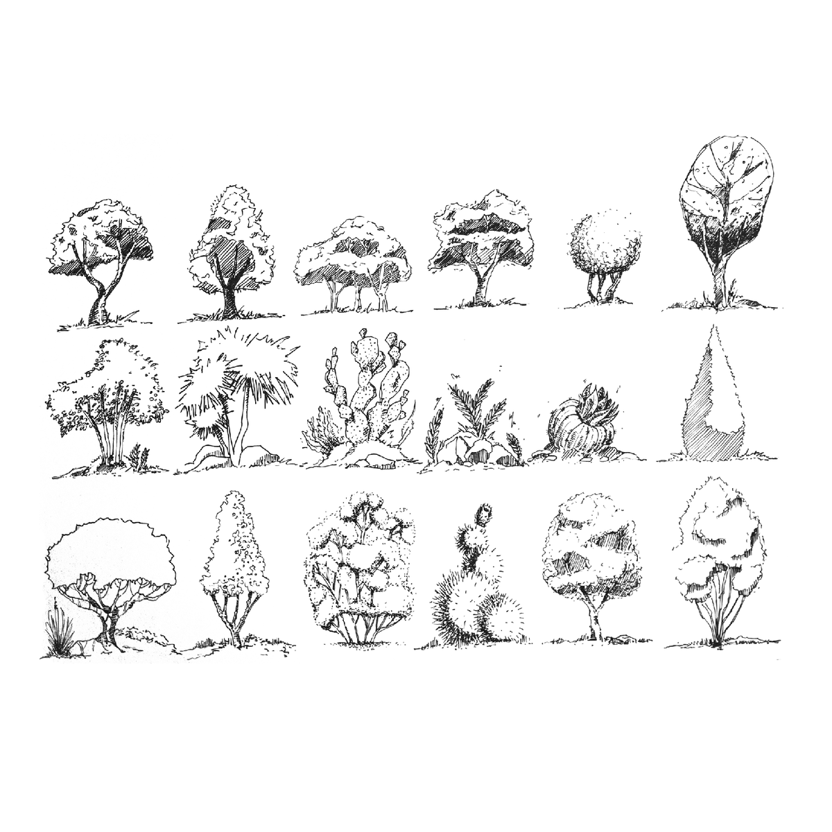 Tree Hand Work Hand-Drawn Trees & Plants Pack – Studio Alternativi