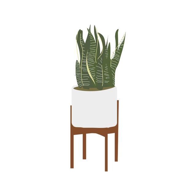 Interior Plants Pack (18 PNG)-Cutouts-Studio Alternativi